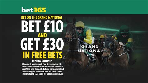 bet365 grand national betting